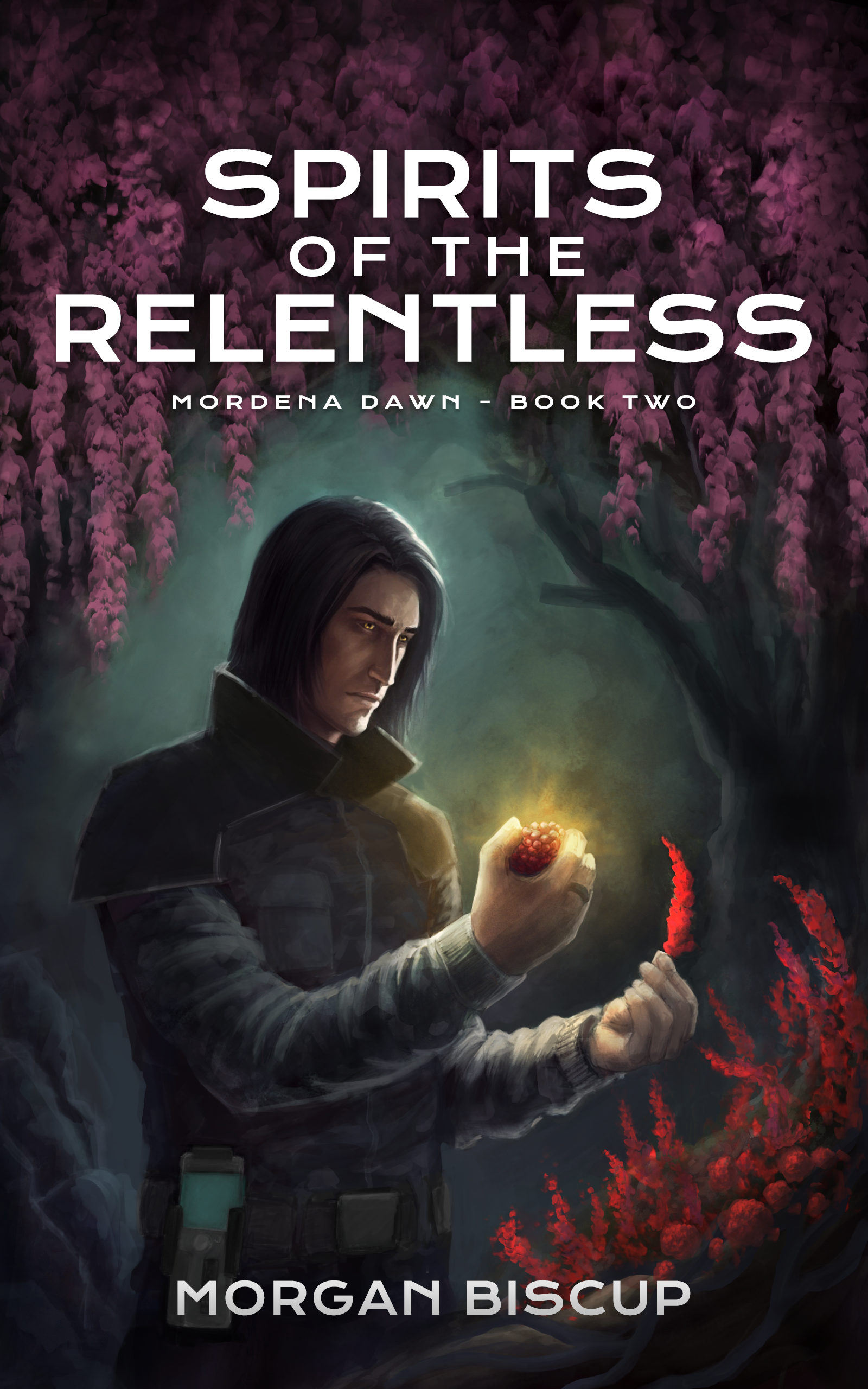 The book cover for Spirits of the Relentless.